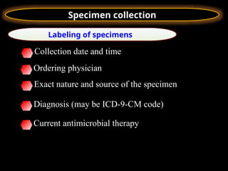 Specimen collection gnjbbvvjnbvvvbmvccch | PPTX