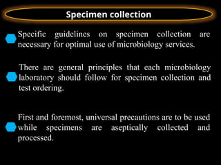 Specimen collection gnjbbvvjnbvvvbmvccch | PPTX