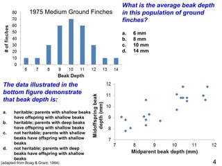 1975 Medium Ground Finches
(adapted from Boag & Grant, 1984)
What is the average beak depth
in this population of ground
finches?
a. 6 mm
b. 8 mm
c. 10 mm
d. 14 mm
The data illustrated in the
bottom figure demonstrate
that beak depth is:
a. heritable; parents with shallow beaks
have offspring with shallow beaks
b. heritable; parents with deep beaks
have offspring with shallow beaks
c. not heritable; parents with shallow
beaks have offspring with shallow
beaks
d. not heritable; parents with deep
beaks have offspring with shallow
beaks
4
 