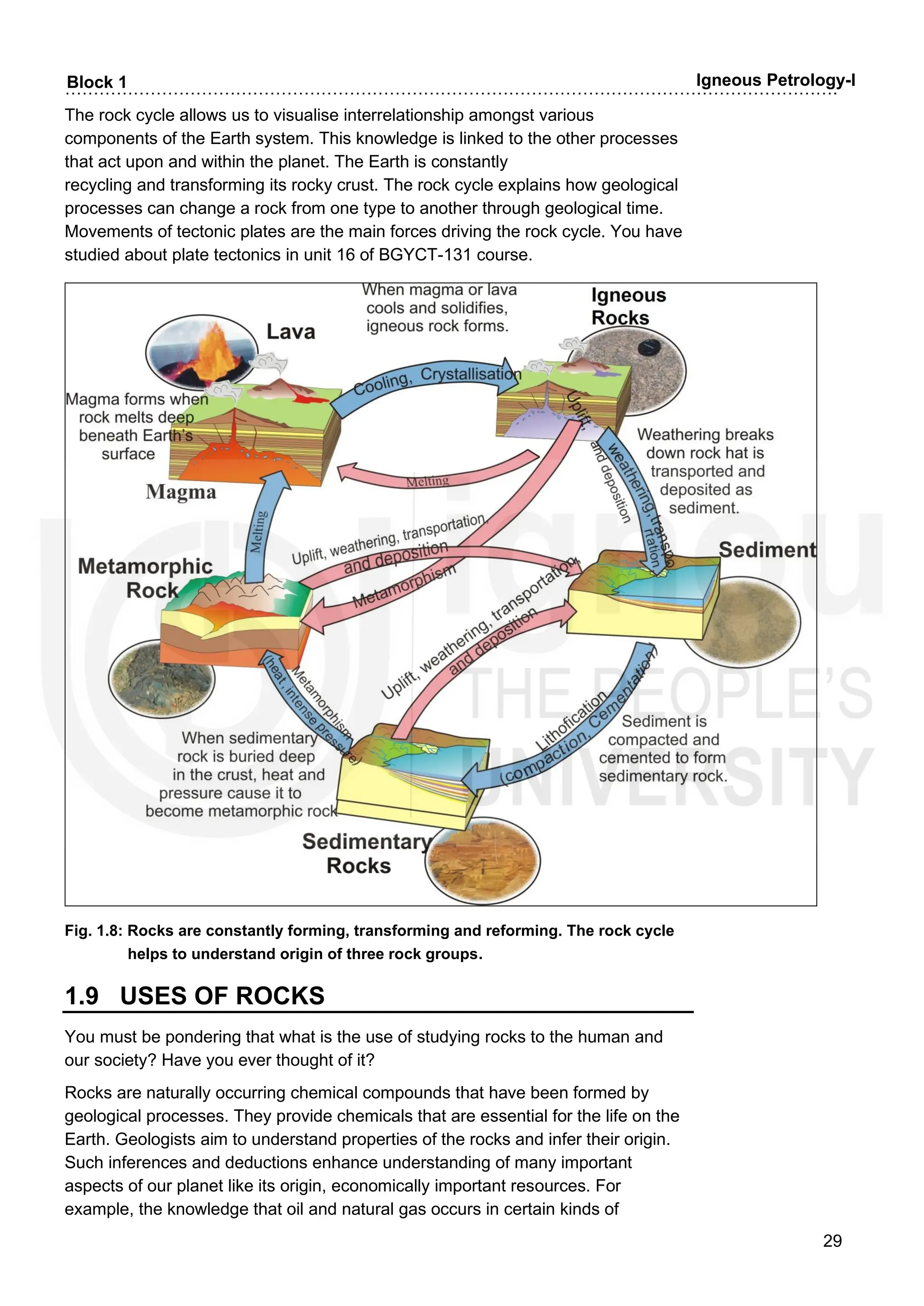 ……………………………………………………………………………………………………………………….
29
Block 1 Igneous Petrology-I
The rock cycle allows us to visualise interrelationship amongst various
components of the Earth system. This knowledge is linked to the other processes
that act upon and within the planet. The Earth is constantly
recycling and transforming its rocky crust. The rock cycle explains how geological
processes can change a rock from one type to another through geological time.
Movements of tectonic plates are the main forces driving the rock cycle. You have
studied about plate tectonics in unit 16 of BGYCT-131 course.
Fig. 1.8: Rocks are constantly forming, transforming and reforming. The rock cycle
helps to understand origin of three rock groups.
1.9 USES OF ROCKS
You must be pondering that what is the use of studying rocks to the human and
our society? Have you ever thought of it?
Rocks are naturally occurring chemical compounds that have been formed by
geological processes. They provide chemicals that are essential for the life on the
Earth. Geologists aim to understand properties of the rocks and infer their origin.
Such inferences and deductions enhance understanding of many important
aspects of our planet like its origin, economically important resources. For
example, the knowledge that oil and natural gas occurs in certain kinds of
 