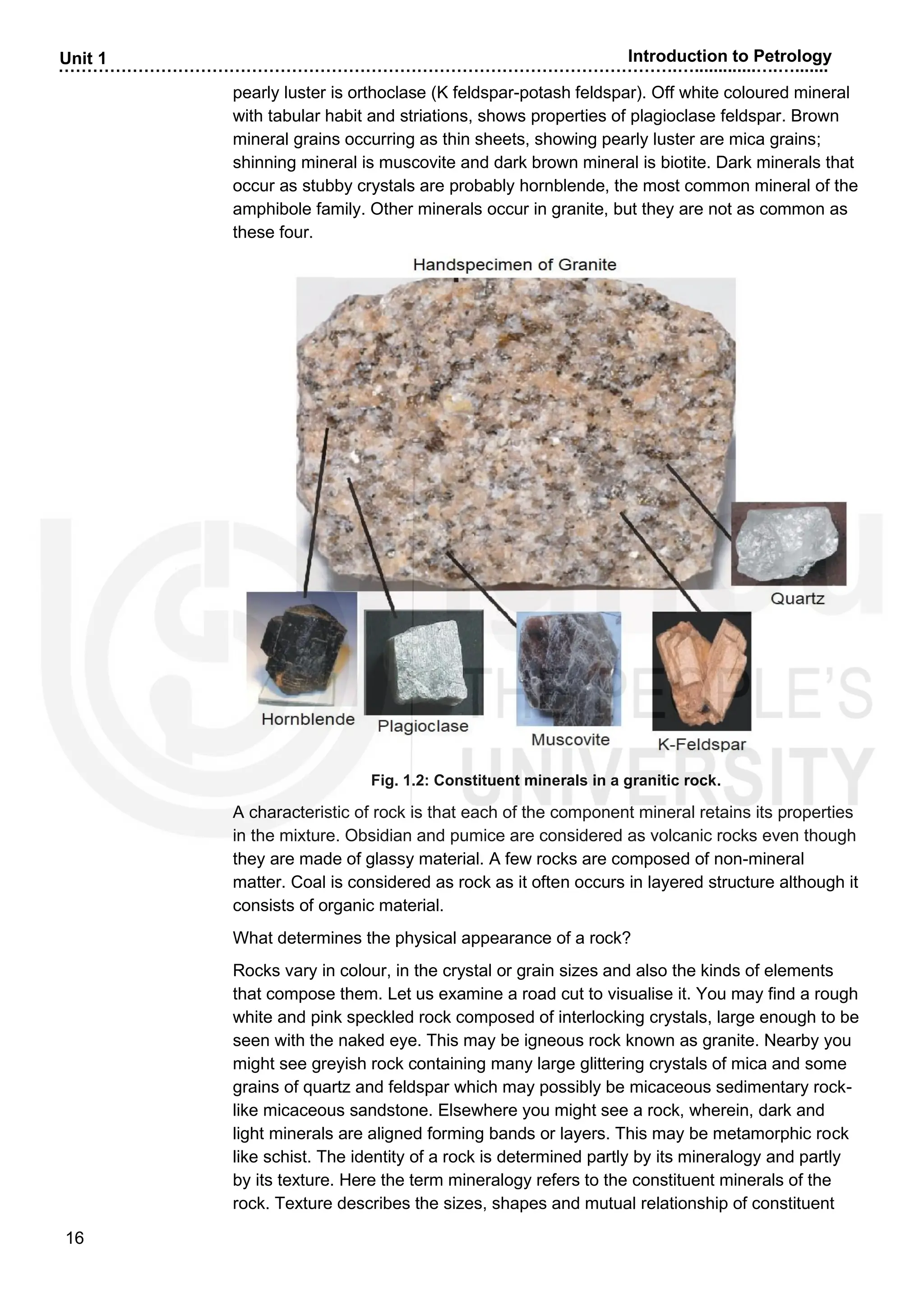 ……………………………………………………………………………………………….….............….….......
16
Unit 1 Introduction to Petrology
pearly luster is orthoclase (K feldspar-potash feldspar). Off white coloured mineral
with tabular habit and striations, shows properties of plagioclase feldspar. Brown
mineral grains occurring as thin sheets, showing pearly luster are mica grains;
shinning mineral is muscovite and dark brown mineral is biotite. Dark minerals that
occur as stubby crystals are probably hornblende, the most common mineral of the
amphibole family. Other minerals occur in granite, but they are not as common as
these four.
Fig. 1.2: Constituent minerals in a granitic rock.
A characteristic of rock is that each of the component mineral retains its properties
in the mixture. Obsidian and pumice are considered as volcanic rocks even though
they are made of glassy material. A few rocks are composed of non-mineral
matter. Coal is considered as rock as it often occurs in layered structure although it
consists of organic material.
What determines the physical appearance of a rock?
Rocks vary in colour, in the crystal or grain sizes and also the kinds of elements
that compose them. Let us examine a road cut to visualise it. You may find a rough
white and pink speckled rock composed of interlocking crystals, large enough to be
seen with the naked eye. This may be igneous rock known as granite. Nearby you
might see greyish rock containing many large glittering crystals of mica and some
grains of quartz and feldspar which may possibly be micaceous sedimentary rock-
like micaceous sandstone. Elsewhere you might see a rock, wherein, dark and
light minerals are aligned forming bands or layers. This may be metamorphic rock
like schist. The identity of a rock is determined partly by its mineralogy and partly
by its texture. Here the term mineralogy refers to the constituent minerals of the
rock. Texture describes the sizes, shapes and mutual relationship of constituent
 