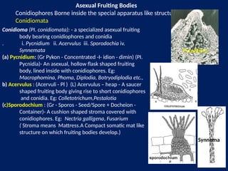 Condida Structures Labeled pl pathology- fungal cell structure.pptx