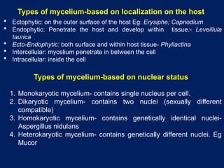 pl pathology- fungal cell structure.pptx