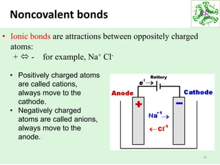 Noncovalent bonds
15
• Ionic bonds are attractions between oppositely charged
atoms:
+  - for example, Na+ Cl-
• Positively charged atoms
are called cations,
always move to the
cathode.
• Negatively charged
atoms are called anions,
always move to the
anode.
 
