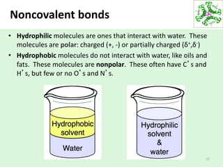Noncovalent bonds
17
• Hydrophilic molecules are ones that interact with water. These
molecules are polar: charged (+, -) or partially charged (δ+,δ-)
• Hydrophobic molecules do not interact with water, like oils and
fats. These molecules are nonpolar. These often have C’s and
H’s, but few or no O’s and N’s.
 