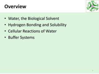 Overview
• Water, the Biological Solvent
• Hydrogen Bonding and Solubility
• Cellular Reactions of Water
• Buffer Systems
2
 