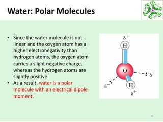 20
Water: Polar Molecules
• Since the water molecule is not
linear and the oxygen atom has a
higher electronegativity than
hydrogen atoms, the oxygen atom
carries a slight negative charge,
whereas the hydrogen atoms are
slightly positive.
• As a result, water is a polar
molecule with an electrical dipole
moment.
 