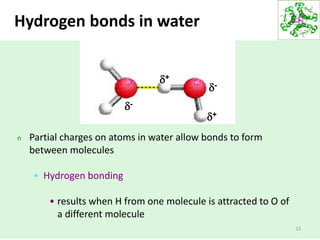 23
Hydrogen bonds in water
n Partial charges on atoms in water allow bonds to form
between molecules
• Hydrogen bonding
• results when H from one molecule is attracted to O of
a different molecule
d-
d+
d+
d-
O
 