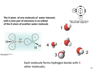 1
4
3
2
Each molecule forms hydrogen bonds with 4
other molecules.
.
The H atom of one molecule of water interacts
with a lone pair of electrons in an orbital
of the O atom of another water molecule
24
 
