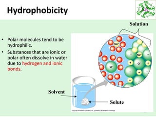 35
Hydrophobicity
Solvent
Solute
Solution
• Polar molecules tend to be
hydrophilic.
• Substances that are ionic or
polar often dissolve in water
due to hydrogen and ionic
bonds.
 