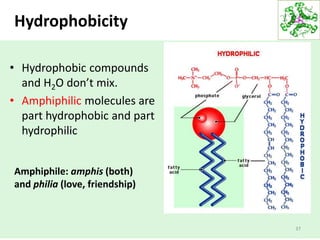 Hydrophobicity
37
• Hydrophobic compounds
and H2O don’t mix.
• Amphiphilic molecules are
part hydrophobic and part
hydrophilic
Amphiphile: amphis (both)
and philia (love, friendship)
 