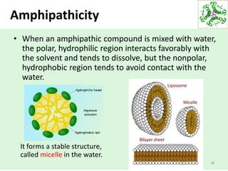 38
Amphipathicity
• When an amphipathic compound is mixed with water,
the polar, hydrophilic region interacts favorably with
the solvent and tends to dissolve, but the nonpolar,
hydrophobic region tends to avoid contact with the
water.
It forms a stable structure,
called micelle in the water.
 