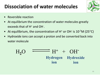 40
H2O H+ + OH-
Hydrogen
ion
Hydroxide
ion
• Reversible reaction
• At equilibrium the concentration of water molecules greatly
exceeds that of H+ and OH-.
• At equilibrium, the concentration of H+ or OH- is 10-7M (25°C)
• Hydroxide ions can accept a proton and be converted back into
water molecule
Dissociation of water molecules
 