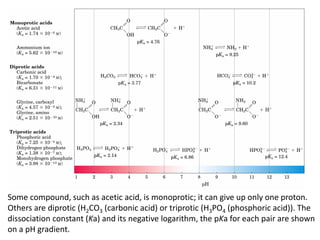 Some compound, such as acetic acid, is monoprotic; it can give up only one proton.
Others are diprotic (H2CO3 (carbonic acid) or triprotic (H3PO4 (phosphoric acid)). The
dissociation constant (Ka) and its negative logarithm, the pKa for each pair are shown
on a pH gradient.
 