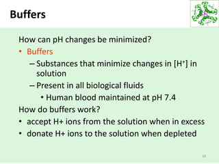 Buffers
59
How can pH changes be minimized?
• Buffers
– Substances that minimize changes in [H+] in
solution
– Present in all biological fluids
• Human blood maintained at pH 7.4
How do buffers work?
• accept H+ ions from the solution when in excess
• donate H+ ions to the solution when depleted
 