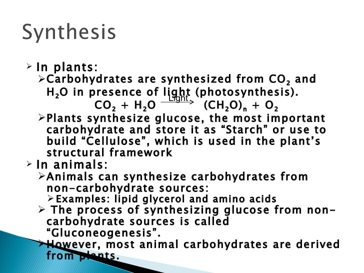 Lecture 4 5 carbohydrates