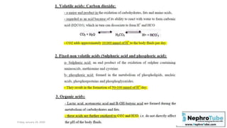 Back to Basics: Renal Physiology (Normal Acid base balance) - Dr. Gawad ...