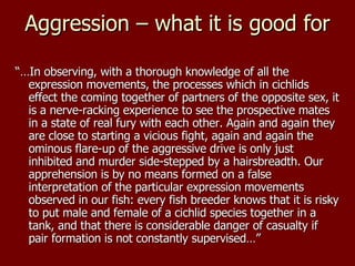 Aggression | ODP