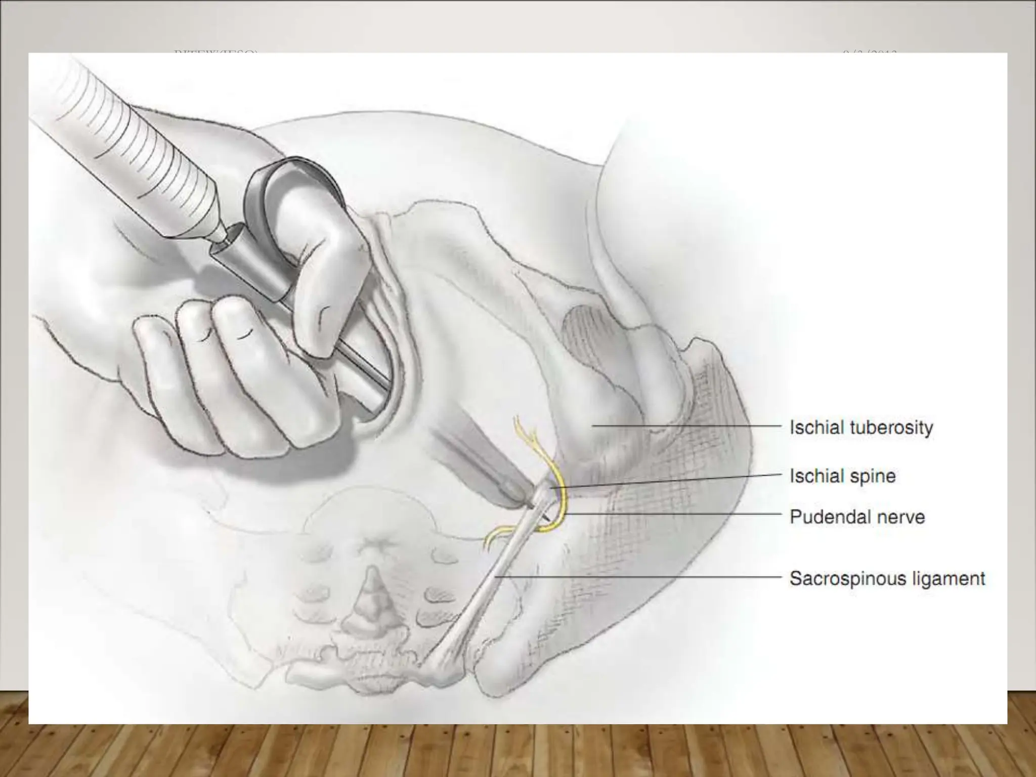 9/3/2013
BITEW(IESO)
27
 