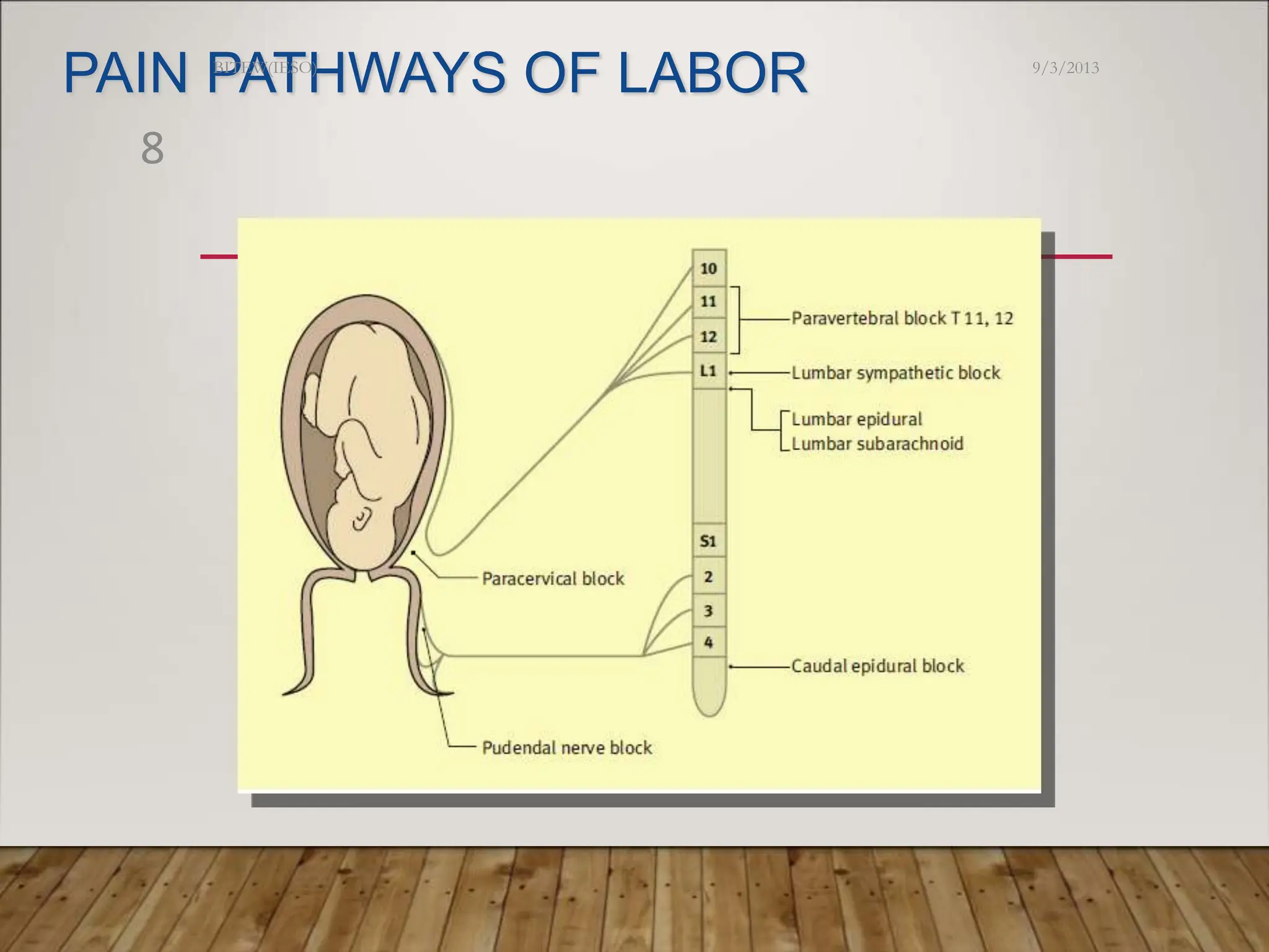 PAIN PATHWAYS OF LABOR 9/3/2013
BITEW(IESO)
8
 