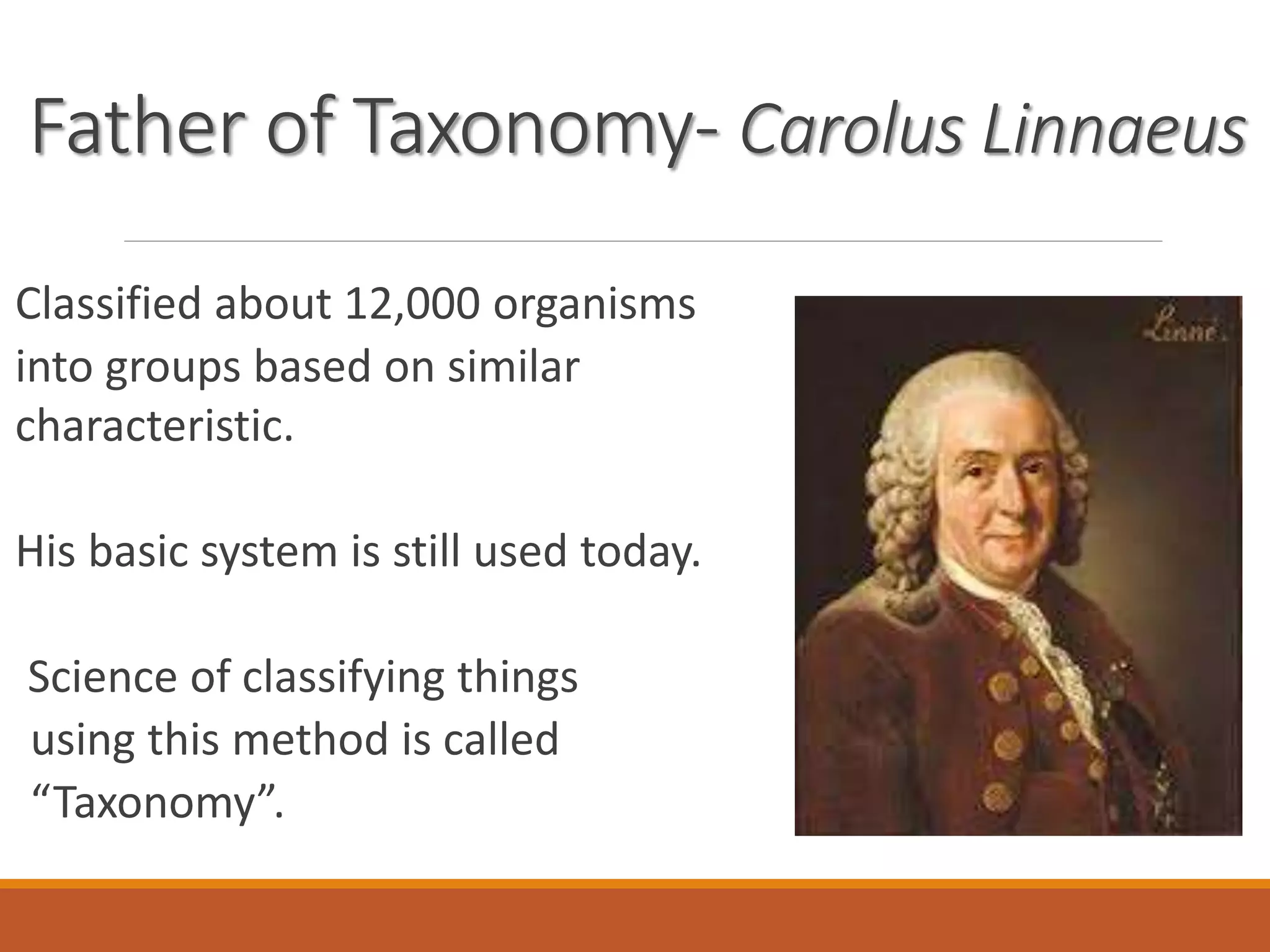 Lecture 4 classification | PPTX