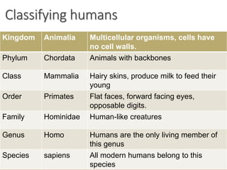 Classifying humans
Kingdom Animalia Multicellular organisms, cells have
no cell walls.
Phylum Chordata Animals with backbones
Class Mammalia Hairy skins, produce milk to feed their
young
Order Primates Flat faces, forward facing eyes,
opposable digits.
Family Hominidae Human-like creatures
Genus Homo Humans are the only living member of
this genus
Species sapiens All modern humans belong to this
species
 