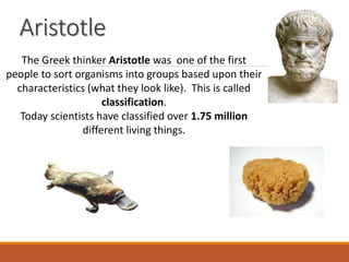 The Greek thinker Aristotle was one of the first
people to sort organisms into groups based upon their
characteristics (what they look like). This is called
classification.
Today scientists have classified over 1.75 million
different living things.
Aristotle
 