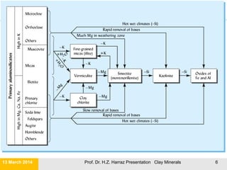 Clay Mineralogy | PDF