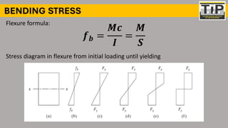 Comprehensive Principles and Design of Steel Flexural Members | PDF