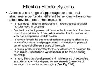 Lecture 4 hormones and behaviour | PPT