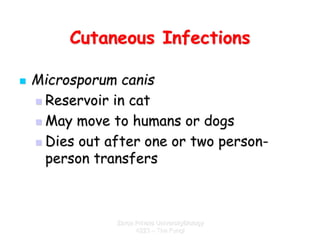 Zarqa Private UniversityBiology
4223 – The Fungi
Cutaneous Infections
 Microsporum canis
 Reservoir in cat
 May move to...