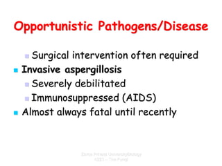 Zarqa Private UniversityBiology
4223 – The Fungi
Opportunistic Pathogens/Disease
 Surgical intervention often required
 ...
