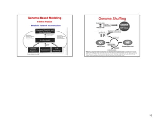 Genome-Based Modeling                                             Genome Shuffling
       In Silico Analysis

 Metabolic network reconstruction




                                    Methodology of genome-based reconstruction of a classically derived production strain. Candidates for the relevant
                                    mutations are introduced one by one from the relevant terminal pathways to central metabolism into the wild-type genome by
                                    allelic replacement. Only the relevant mutations (open squares) are saved to generate a defined mutant with the minimal
                                    mutation set that is necessary and sufficient for high-level production (minimal mutation strain)




                                                                                                                                                                 10
 