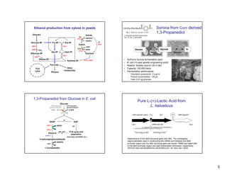 Ethanol production from xylose in yeasts                                                                                              Sorona from Corn derived
 Glucose
                                                                                                                                         1,3-Propanediol
                                                                                   Xylose            J. Polymers and the Environment,
                                                                         XR                          Vol. 13, No. 2, April 2005
                                                                    XYL1           NAD(P)H
                                                                                   NAD(P)+
Glucose-6P                Fru-6P                Ery-4P                                        XI
                                                                         Xylitol              XylA
ZWF1                                          TAL1                                 NAD+
GND1                                                                 XDH           NADH
          CO2                                                            XYL2
                          Gly-3P                    Sed-7P
Ribulose-5P                                                                        Xylulose
                                              TKL1
   RKI1
          Ribose-5P                                                             XYL3, XKS1           •   DuPont’s Sorona fermentation plant
                                                     Xylulose-5P
                                                                                                     •   E. coli (10-year genetic engineering work)
                      Pyruvate                                                                       •   Reactor: Bubble column (30 m tall)
    TCA                                          Other                                               •   Capacity: 100,000 lbs/yr
    cycle                                      metabolites                                           •   Fermentation performance:
                          Ethanol
                                                                                                          – Volumetric productivity: 3.5 g/L/h
                                                                                                          – Product concentration: 135 g/L
                                                                                                          – Yield: 0.51 g/g glucose




  1,3-Propanediol from Glucose in E. coli
  1,3-
                                                                                                                       Pure L-(+)-Lactic Acid from
                                     Glucose
                        PEP-dependent
                      glucose transport
                                                     ATP-dependent
                                                     glucose transport
                                                                                                                              L. helveticus
                          PEP, ATP        X             2 ATP




                                              tpi
                      DHAP                                     GAP
                  DAR1          NADH                         gap

                  GPP2
                                   glpK gldA            TCA cycle and
                    Glycerol              x
                                                         respiration
                dhaB1-3
                                                     (Cell mass and NADH, etc.)
          3-hydroxypropionaldehyde                                                                       Replacement of the ldhD structural gene with ldhL. The overlapping
                                                                                                         oligonucleotides used in constructing the mRNA joint between the ldhD
                                NADPH
                  yqhD                                                                                   promoter region and the ldhL structural gene are shown. PldhD and tslpA refer
                                                                                                         to the ldhD promoter region and slpA transcription terminator, respectively.
                1,3-propanediol                                                                          APPLIED AND ENVIRONMENTAL MICROBIOLOGY, 66: 3835–3841 (2000)




                                                                                                                                                                                         5
 