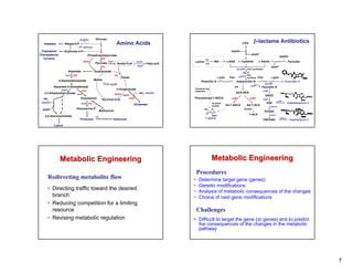 Histidine        Ribose-5-P
                                 NADPH         Glucose
                                                                  Amino Acids                                                                        3-PG
                                                                                                                                                                β-lactame Antibiotics
                               PP pathway
 Tryptophan        Erythrose-4-P                                                                                                         NADPH
Phenylalanine                             Phosphoenolpyruvate                                                                                                NADP+
                                                                                                                                                                                        NADPH
  Tyrosine                                           PK                                                           lat
                                     PEPC                                                                Lysine            P6C        α-AAA        L-Cysteine       L-Valine                   Pyruvate
                                               Pyruvate PDH
                                                                                   biotin
                                                                  Acetyl-CoA                Fatty acid            LAT
                                                     PC                            DtsR                                                                                        NADP+
                                                                                                                                                pcbAB   ACV synthetase
                        Aspartate             Oxaloacetate                                                                                           ACV
                    lysC AsK                                     CS                                                                                pcbC IPN
                                                                      Citrate                                                 α-AAA     PAA             synthase POA           α-AAA
                4-Aspartylphosphate           Malate
                                                                                                              Penicillin G                     Isopenicillin N                               Penicillin V
                                                       TCA cycle                                                                                                         penDE
          Aspartate-4-semialdehyde                                                                                                            AA            cefD
                                                                                                                                                                      Penicillin N
                                                                  2-Oxoglutarate                         Chemical ring
                 dapA               HDH                                                                  expansion                                                     cefE
   2,3-Dihydrodipicolinate hom                                                       NH3 NADPH                                                Ad-6-APA
                                                                 ODHC odhA
                                                                                                                                                                         DAOC
  NH3                        Homoserine                                      GDH                         Phenylacetyl-7-ADCA             cefE               cefEF
                                                      Succinyl-CoA                                                                                                     cefF
 NADPH                                                                                                                                                                                cefG
                                    thrB HK                                                                              Penicillin                                       DAC                  Cephalosporin C
                                                                                Glutamate                                acylase      Ad-7-ADCA         Ad-7-ACA
                                                                                                                                                                               cmcH
  NADP+                      Homoserine-P                                                                                                             Acylase
                                                    Methionine                                                                                                           OCDAC
                                                                                                                                                            7-ACA              cmcI
   2,6-diaminopimelate                         TD
                                 Threonine                   Isoleucine                                           7-ADCA                                                                cmcJ
                                                                                                                                                                         HOCDAC                 Cephamycin C

          Lysine




                Metabolic Engineering                                                                                    Metabolic Engineering
                                                                                                             Procedures
     Redirecting metabolite flow                                                                         •   Determine target gene (genes)
                                                                                                         •   Genetic modifications
     • Directing traffic toward the desired                                                              •   Analysis of metabolic consequences of the changes
       branch                                                                                            •   Choice of next gene modifications
     • Reducing competition for a limiting
       resource                                                                                              Challenges
     • Revising metabolic regulation                                                                     • Difficult to target the gene (or genes) and to predict
                                                                                                           the consequences of the changes in the metabolic
                                                                                                           pathway




                                                                                                                                                                                                                 7
 