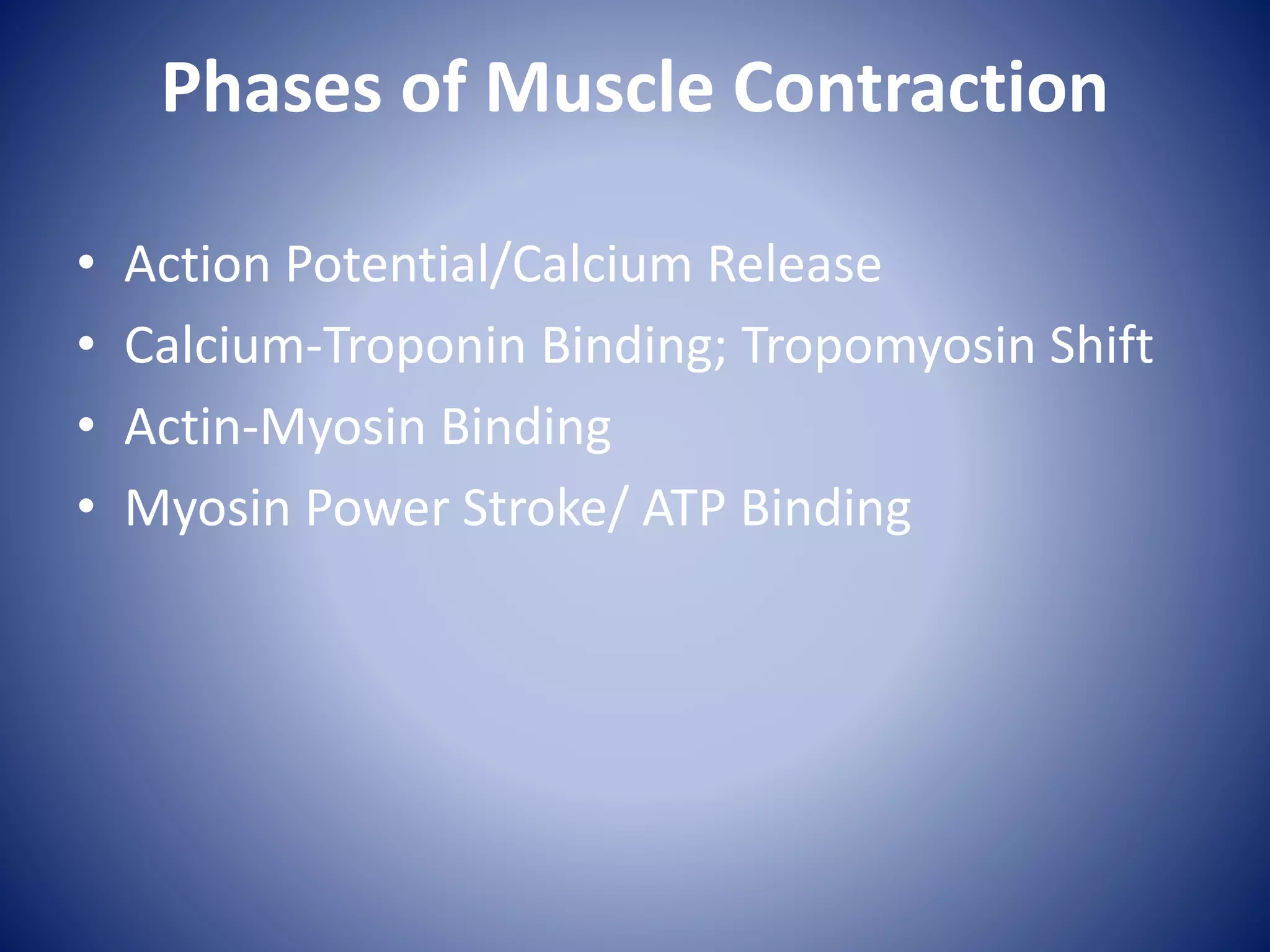 Phases of Muscle Contraction
• Action Potential/Calcium Release
• Calcium-Troponin Binding; Tropomyosin Shift
• Actin-Myosin Binding
• Myosin Power Stroke/ ATP Binding
 