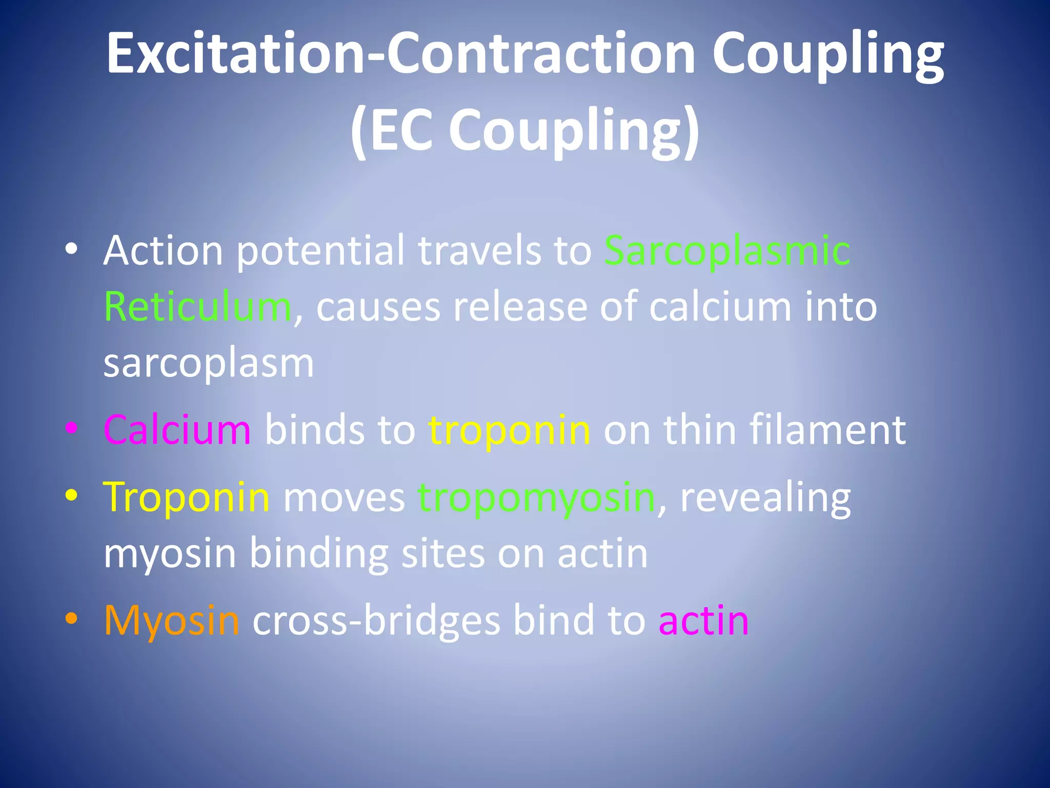 Excitation-Contraction Coupling
(EC Coupling)
• Action potential travels to Sarcoplasmic
Reticulum, causes release of calcium into
sarcoplasm
• Calcium binds to troponin on thin filament
• Troponin moves tropomyosin, revealing
myosin binding sites on actin
• Myosin cross-bridges bind to actin
 