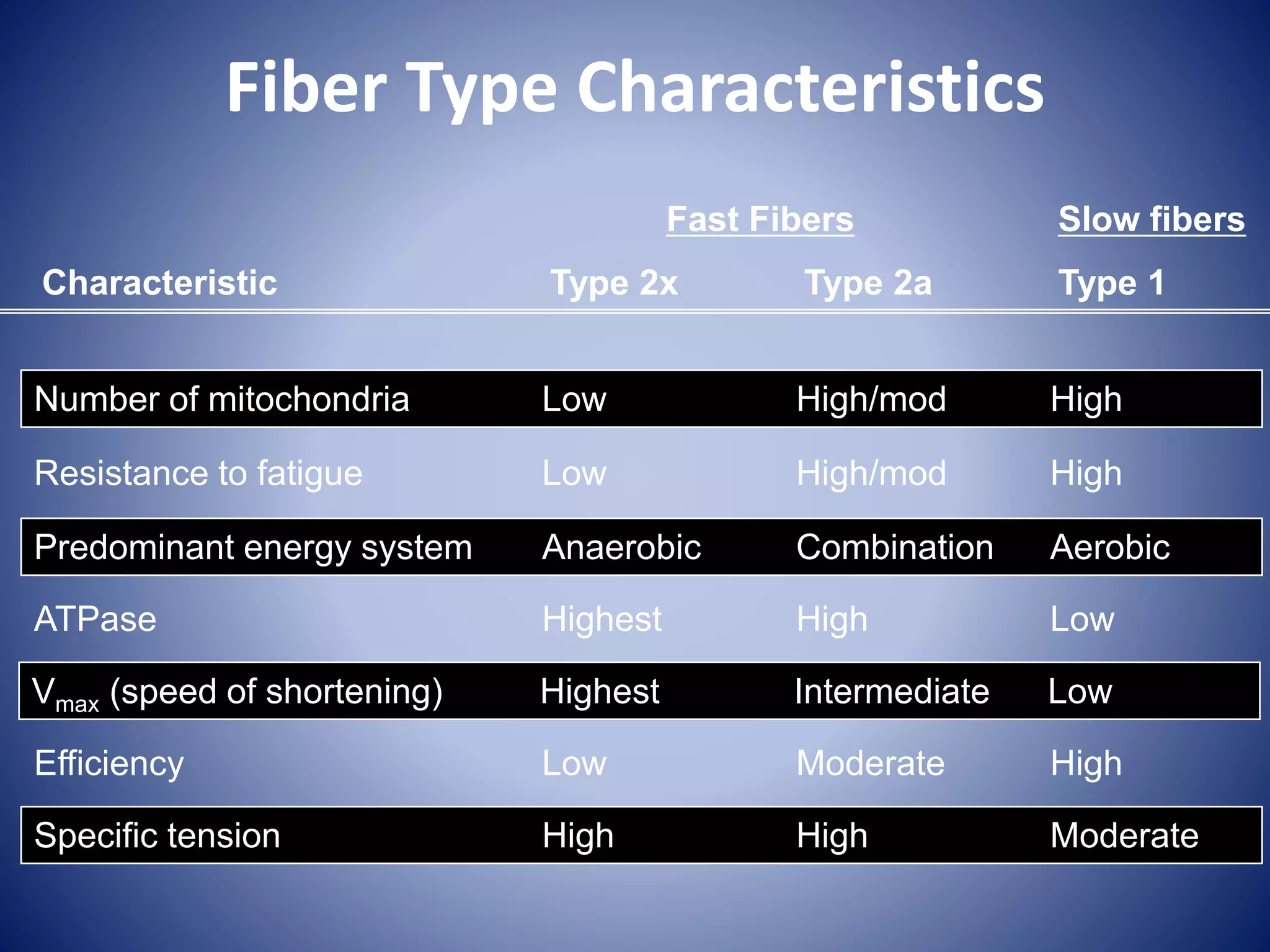 Fiber Type Characteristics
Fast Fibers Slow fibers
Characteristic Type 2x Type 2a Type 1
Number of mitochondria Low High/mod High
Resistance to fatigue Low High/mod High
Predominant energy system Anaerobic Combination Aerobic
ATPase Highest High Low
Vmax (speed of shortening) Highest Intermediate Low
Efficiency Low Moderate High
Specific tension High High Moderate
 