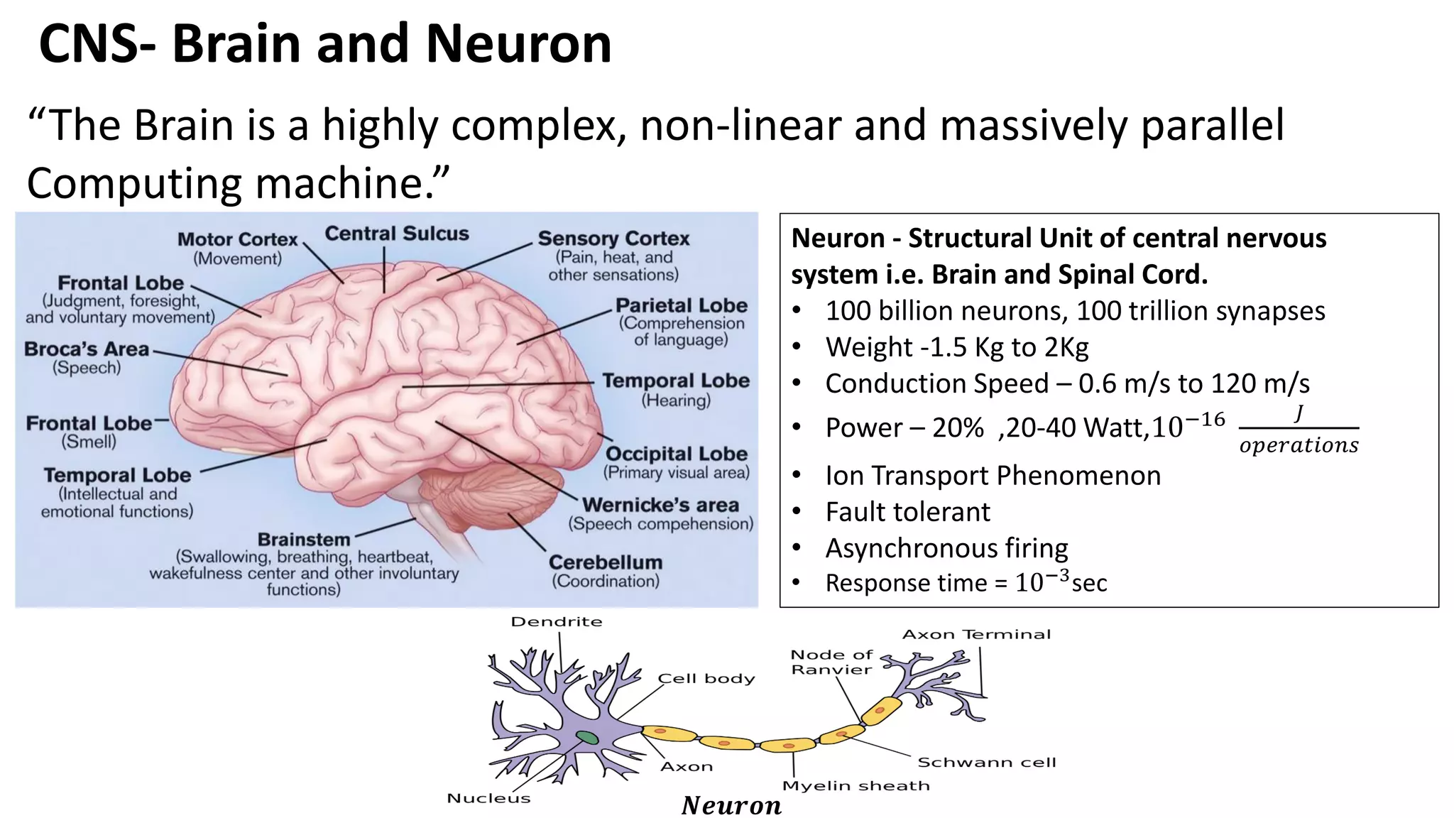 CNS- Brain and Neuron Neuron - Structural Unit of central nervous system i.e. Brain and Spinal Cord. • 100 billion neurons, 100 trillion synapses • Weight -1.5 Kg to 2Kg • Conduction Speed – 0.6 m/s to 120 m/s • Power – 20% ,20-40 Watt,10−16 𝐽 𝑜𝑝𝑒𝑟𝑎𝑡𝑖𝑜𝑛𝑠 • Ion Transport Phenomenon • Fault tolerant • Asynchronous firing • Response time = 10−3 sec “The Brain is a highly complex, non-linear and massively parallel Computing machine.” 𝑵𝒆𝒖𝒓𝒐𝒏 