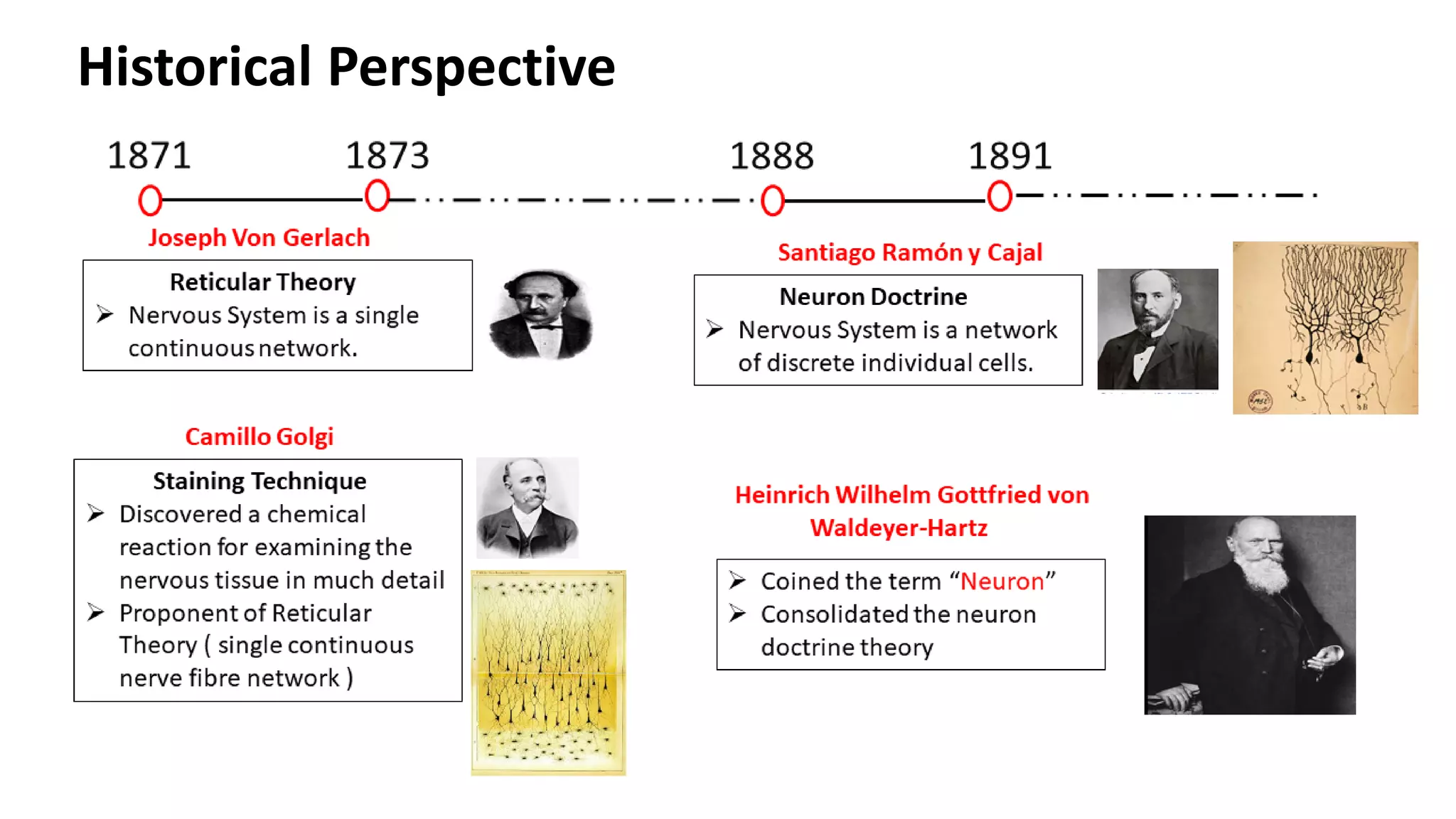 Historical Perspective 