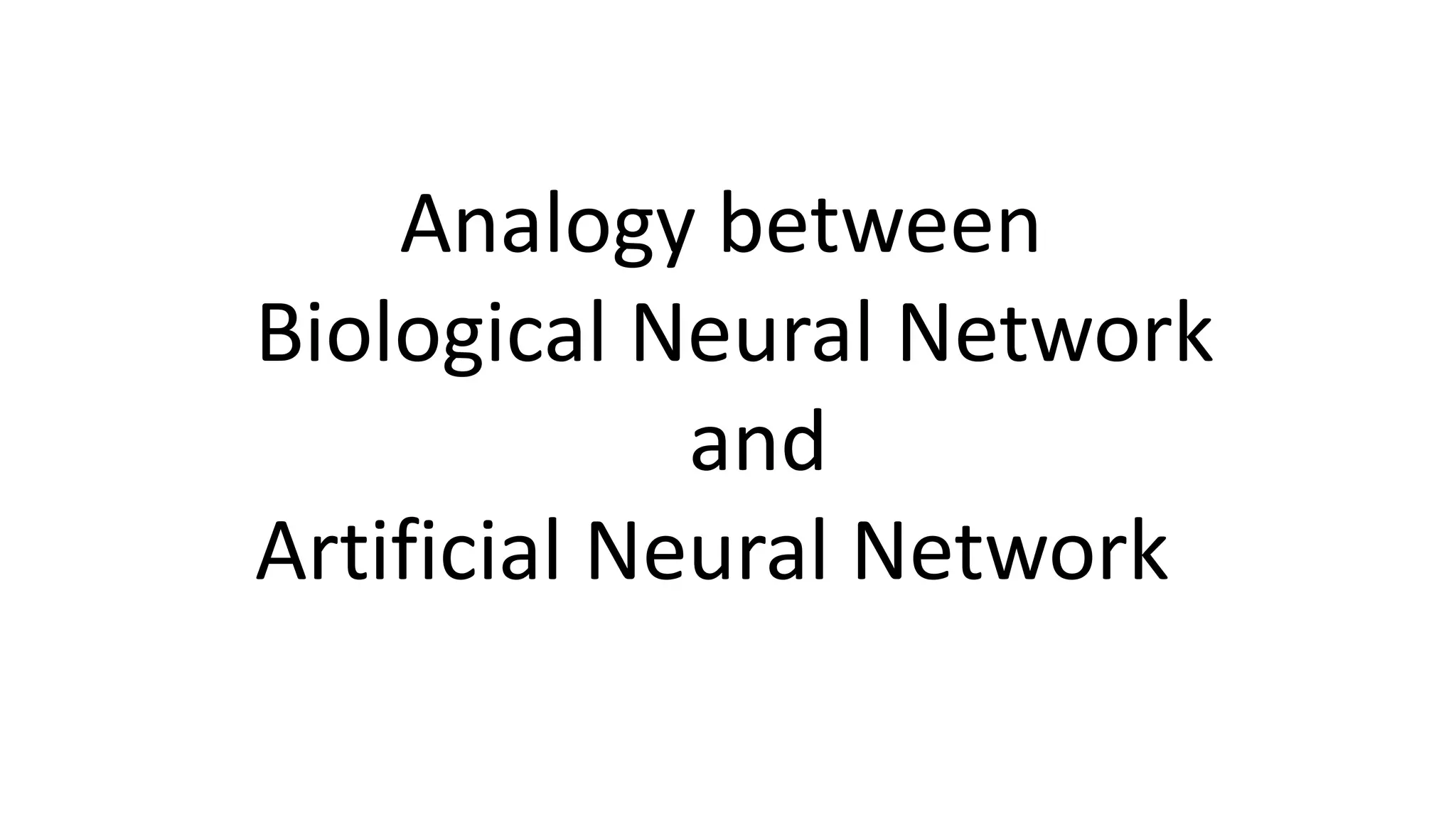 Analogy between Biological Neural Network and Artificial Neural Network 