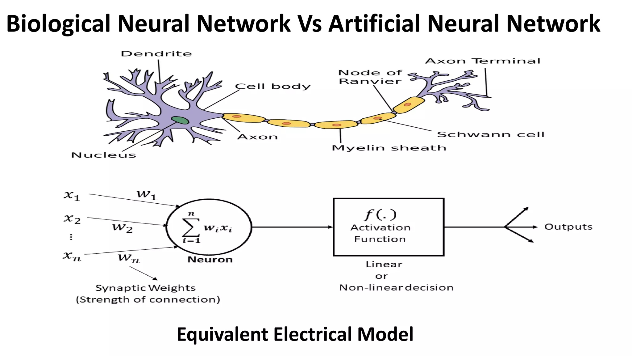 Biological Neural Network Vs Artificial Neural Network Equivalent Electrical Model 