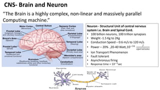 CNS- Brain and Neuron
Neuron - Structural Unit of central nervous
system i.e. Brain and Spinal Cord.
• 100 billion neurons, 100 trillion synapses
• Weight -1.5 Kg to 2Kg
• Conduction Speed – 0.6 m/s to 120 m/s
• Power – 20% ,20-40 Watt,10−16 𝐽
𝑜𝑝𝑒𝑟𝑎𝑡𝑖𝑜𝑛𝑠
• Ion Transport Phenomenon
• Fault tolerant
• Asynchronous firing
• Response time = 10−3
sec
“The Brain is a highly complex, non-linear and massively parallel
Computing machine.”
𝑵𝒆𝒖𝒓𝒐𝒏
 