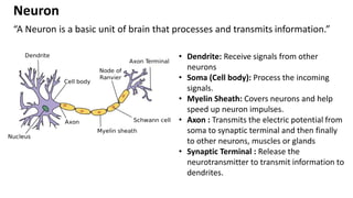 “A Neuron is a basic unit of brain that processes and transmits information.”
Neuron
• Dendrite: Receive signals from other
neurons
• Soma (Cell body): Process the incoming
signals.
• Myelin Sheath: Covers neurons and help
speed up neuron impulses.
• Axon : Transmits the electric potential from
soma to synaptic terminal and then finally
to other neurons, muscles or glands
• Synaptic Terminal : Release the
neurotransmitter to transmit information to
dendrites.
 
