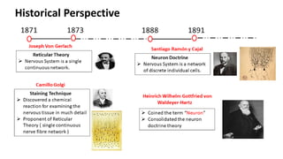 Historical Perspective
 