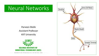 Parveen Malik
Assistant Professor
KIIT University
Neural Networks
 
