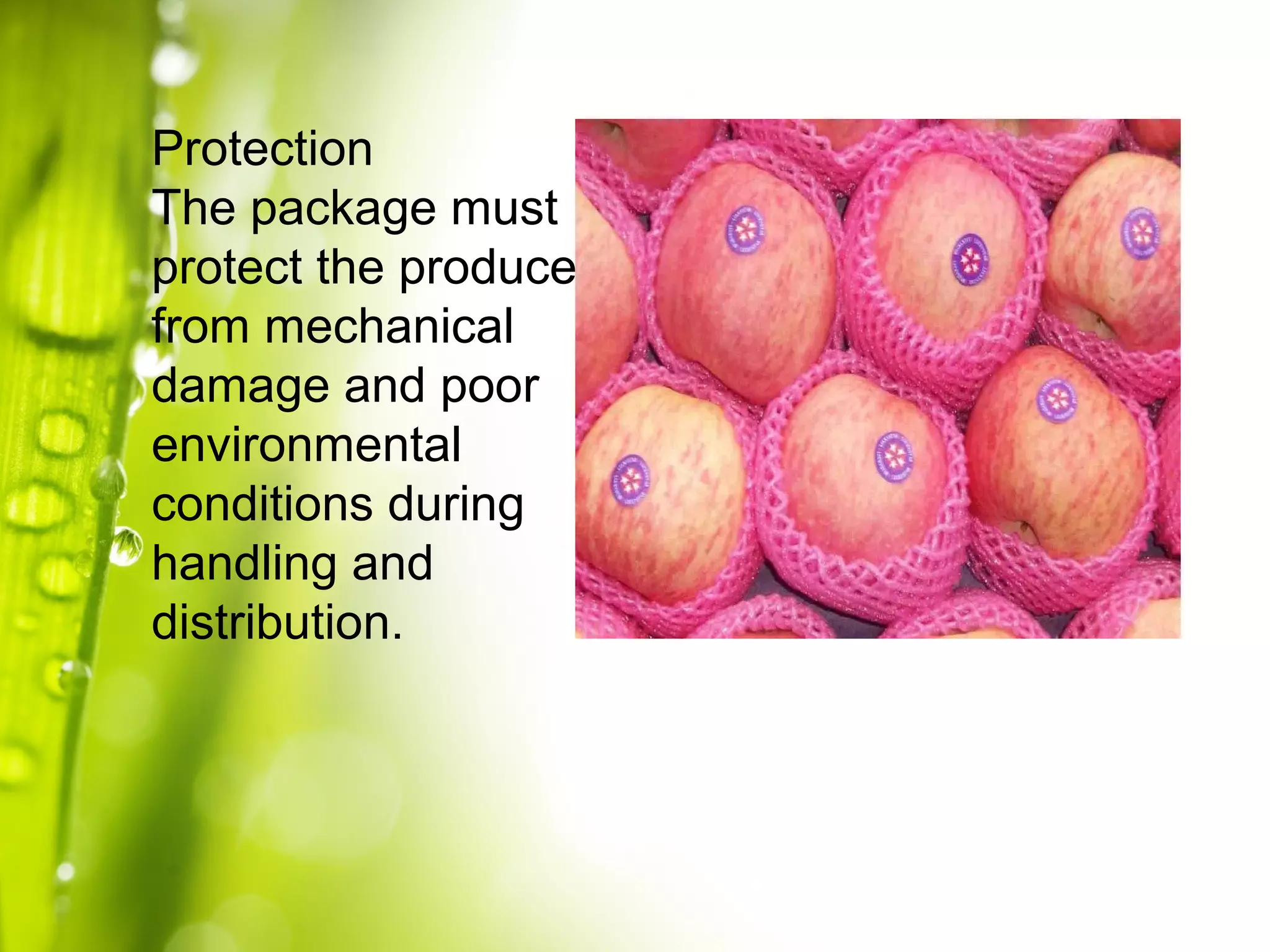 Protection
The package must
protect the produce
from mechanical
damage and poor
environmental
conditions during
handling and
distribution.
 