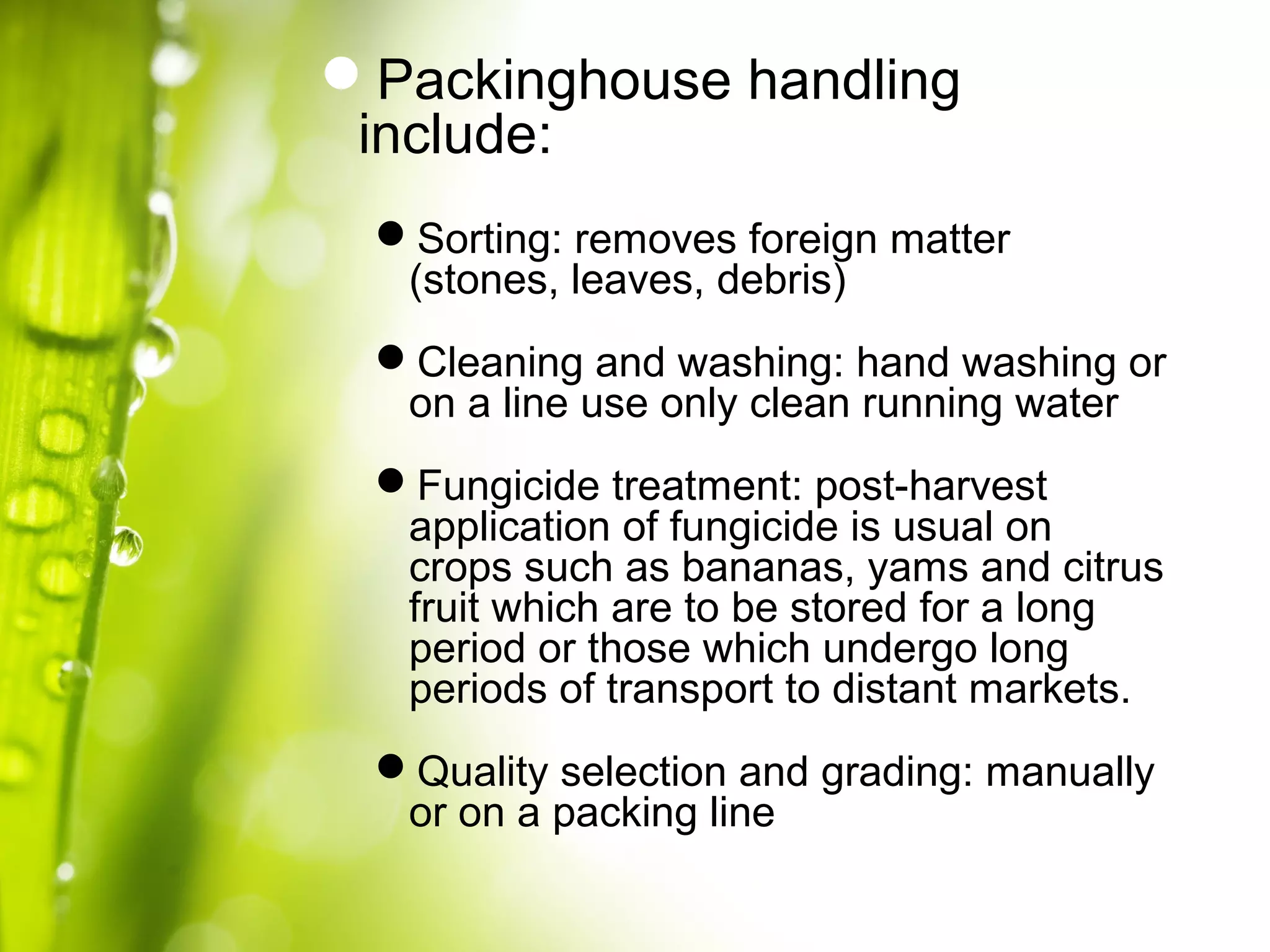 Packinghouse handling
include:
Sorting: removes foreign matter
(stones, leaves, debris)
Cleaning and washing: hand washing or
on a line use only clean running water
Fungicide treatment: post-harvest
application of fungicide is usual on
crops such as bananas, yams and citrus
fruit which are to be stored for a long
period or those which undergo long
periods of transport to distant markets.
Quality selection and grading: manually
or on a packing line
 