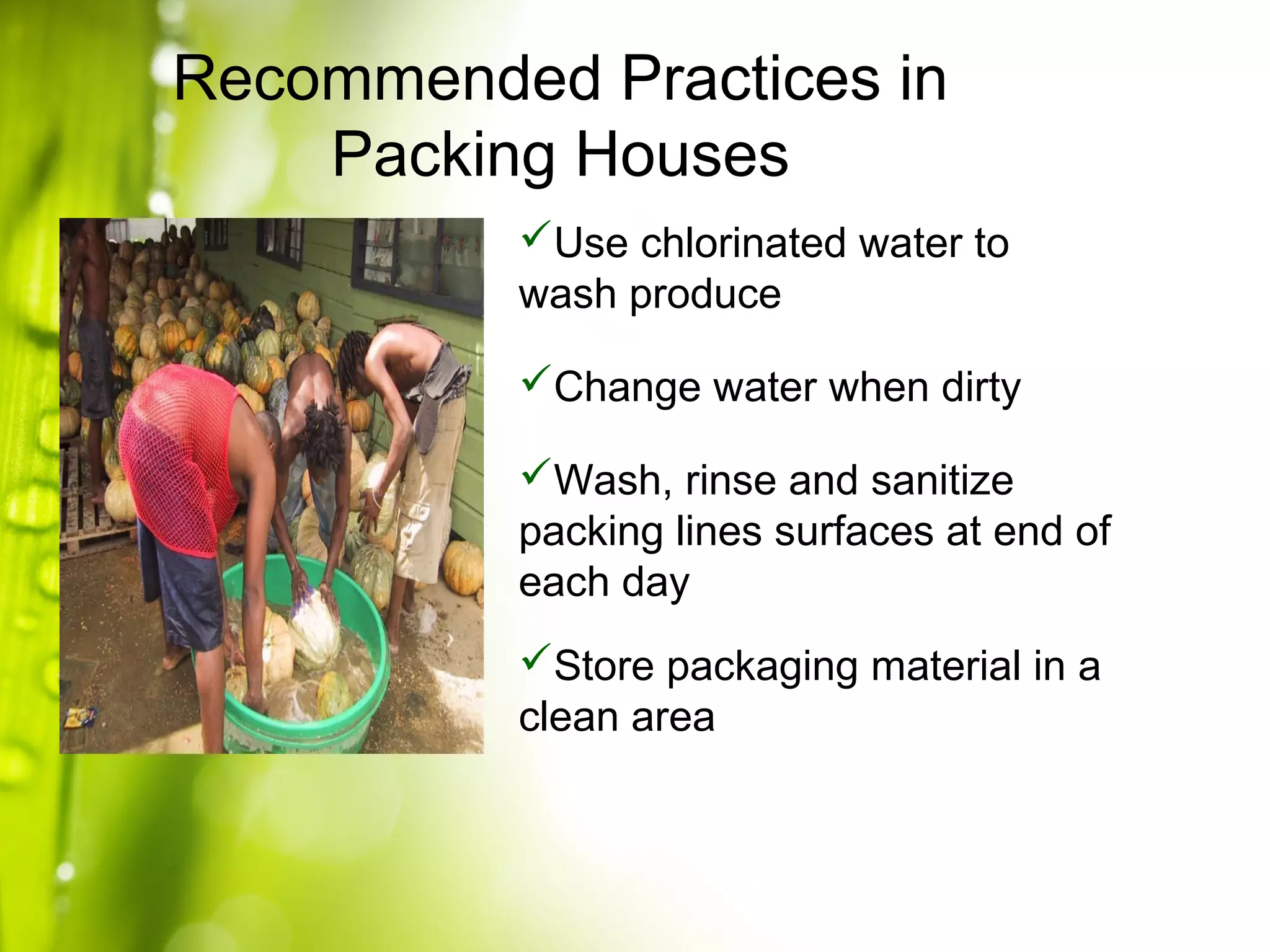 Use chlorinated water to
wash produce
Change water when dirty
Wash, rinse and sanitize
packing lines surfaces at end of
each day
Store packaging material in a
clean area
Recommended Practices in
Packing Houses
 