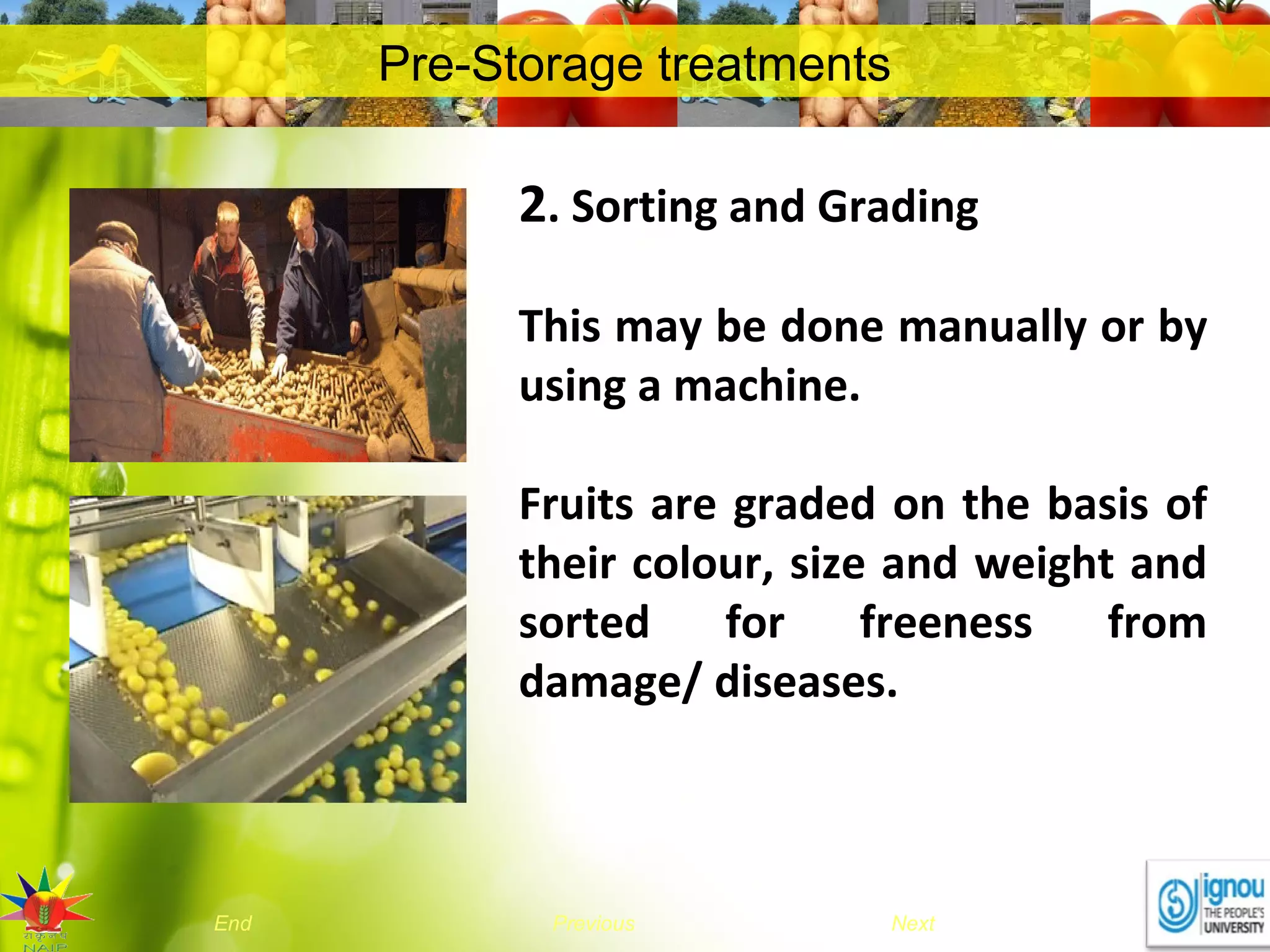 NextEnd Previous
Pre-Storage treatments
2. Sorting and Grading
This may be done manually or by
using a machine.
Fruits are graded on the basis of
their colour, size and weight and
sorted for freeness from
damage/ diseases.
 